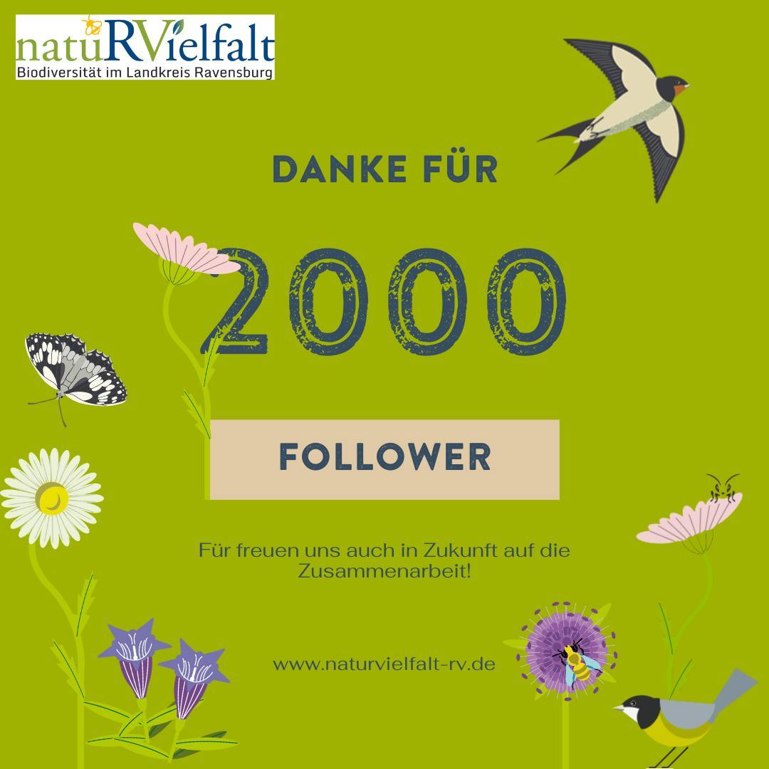 🎉Danke für 2000 Follower! 🎉
Über 2000 Menschen folgen jetzt schon unseren Aktionen hier
auf Instagram.
Wir sagen Danke, für all eure Kommentare, Nachrichten, Likes
und jede Form der Unterstützung die ihr uns zukommen lasst.
Ohne euch wäre Naturschutz nicht in dieser Form möglich!
Auch in Zukunft wollen wir, in Zusammenarbeit mit euch, etwas bewirken und die Natur- und Artenvielfalt im @landkreis.ravensburg erhalten! 🌳🌸🦗
#allgäu #oberschwaben #landschaftserhaltungsverband #natuRVielfalt #biodiversitätsstrategie #biodiversität #ravensburg #natur #nature #artenschutz #naturschutz #outdoor #badenwürttemberg #artenvielfalt #follower #danke #thanks