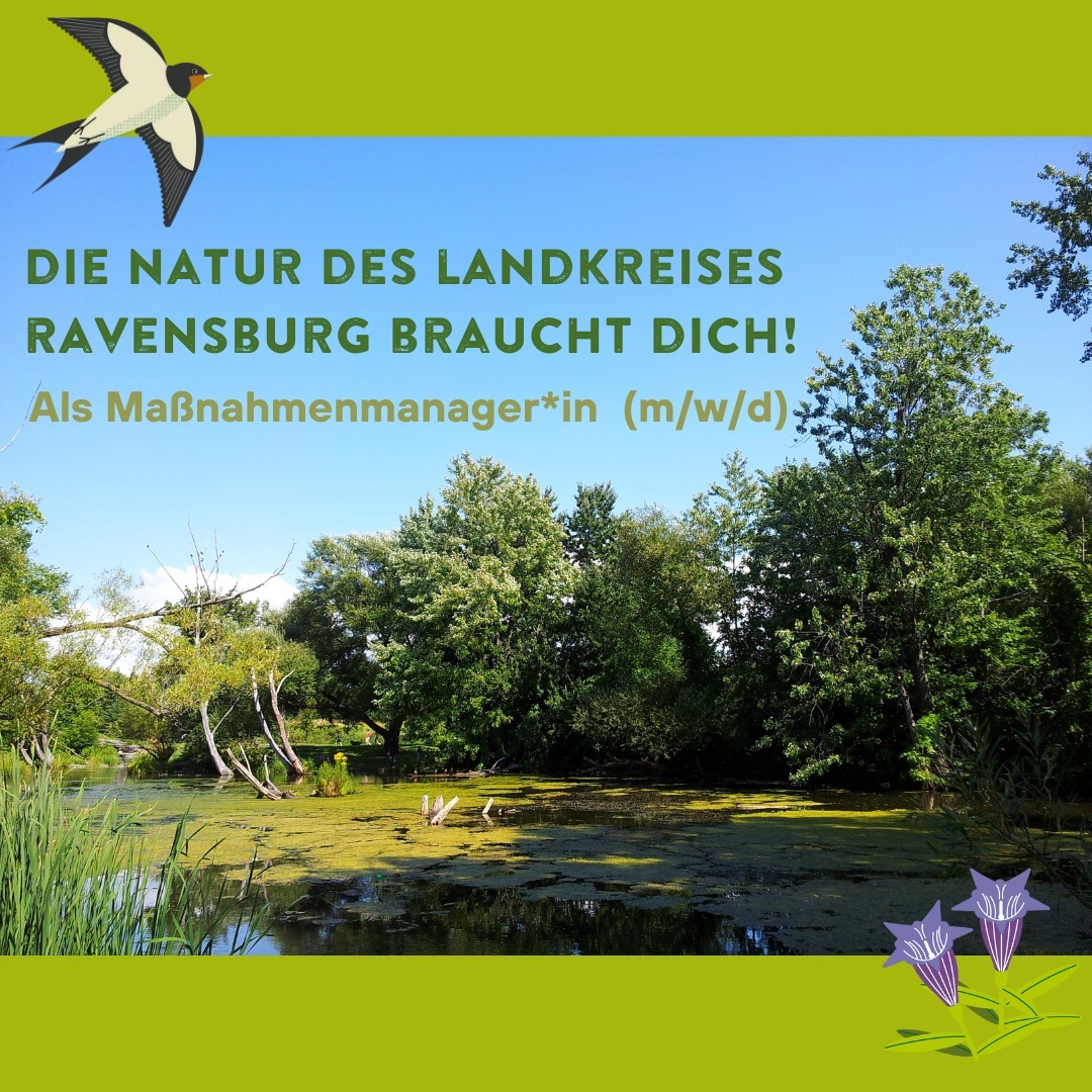 🌿🌼 Aufgepasst, Naturliebhaber! 🌼🌿
Der Landschaftserhaltungsverband Ravensburg e.V. sucht eine erfahrene und engagierte Mitarbeiter*in für eine Vollzeitstelle! 🌳
Über uns: Wir sind der Landschaftserhaltungsverband Landkreis Ravensburg e.V. (LEV) - ein Zusammenschluss von Vertreterinnen und Vertretern der Landwirtschaft, des Naturschutzes und der Kommunen . Unser Ziel? Die Artenvielfalt in unserer Landschaft bewahren! 🌍
Deine Qualifikation:
✔ Du brennst für den Naturschutz und bringst Menschen zusammen.
✔ Mindestens 2 Jahre Berufserfahrung.
✔ Du verknüpfst Landwirtschaft und Artenvielfalt mit Leidenschaft.
✔ Organisieren, Strukturieren und aktive Kommunikation sind deine Stärken.
✔ Du hast ein abgeschlossenes Studium in relevanten Fachrichtungen.
✔ Fundierte Kenntnisse in Landschaftsplanung, Naturschutz und mehr.
✔ Selbstständig, kommunikationsstark und teamorientiert.
✔ Gute Kenntnisse in EDV-Programmen und GIS (Arc GIS).
✔ Führerschein Klasse B.
Deine Aufgaben:
🌿 Du koordinierst Landschaftspflegemaßnahmen und Vertragsnaturschutz.
🌿 Unterstützung bei Natura-2000-Managementplänen.
🌿 Entwicklung von Landschaftspflegekonzepten.
🌿 Naturschutzberatung für Mitglieder und Landbewirtschafter.
🌿 Begleitung von Projekten und Öffentlichkeitsarbeit.
Wir bieten:
💼 Spannende Aufgaben in einem tollen Team.
💰 Tarifgerechte Bezahlung nach TVöD EG 11.
🕒 Vollzeitstelle, grundsätzlich teilbar.
🗓 Stellenbesetzung zum nächstmöglichen Zeitpunkt.
🏢 Dienstsitz: Geschäftsstelle des LEV Ravensburg, Frauenstraße 4.
Interesse? Bewirb dich bis spätestens 30.09.2023 per E-Mail an info@lev-ravensburg.de oder per Post an Landschaftserhaltungsverband Ravensburg e.V., Frauenstraße 4, 88212 Ravensburg. Bei Fragen erreichst du Robert Bauer, den Geschäftsführer des LEVs, unter Tel. 0751 85-9622.
Erfahre mehr auf unserer Website: www.lev-ravensburg.de und www.naturvielfalt-rv.de. Folge uns auf YouTube @natuRVielfalt und Instagram @naturvielfalt.ravensburg.
Komm zu unserem Team und lass uns gemeinsam die Artenvielfalt im Landkreis Ravensburg erhalten! 🌎🌿 #Naturschutz #Artenvielfalt #Jobangebot