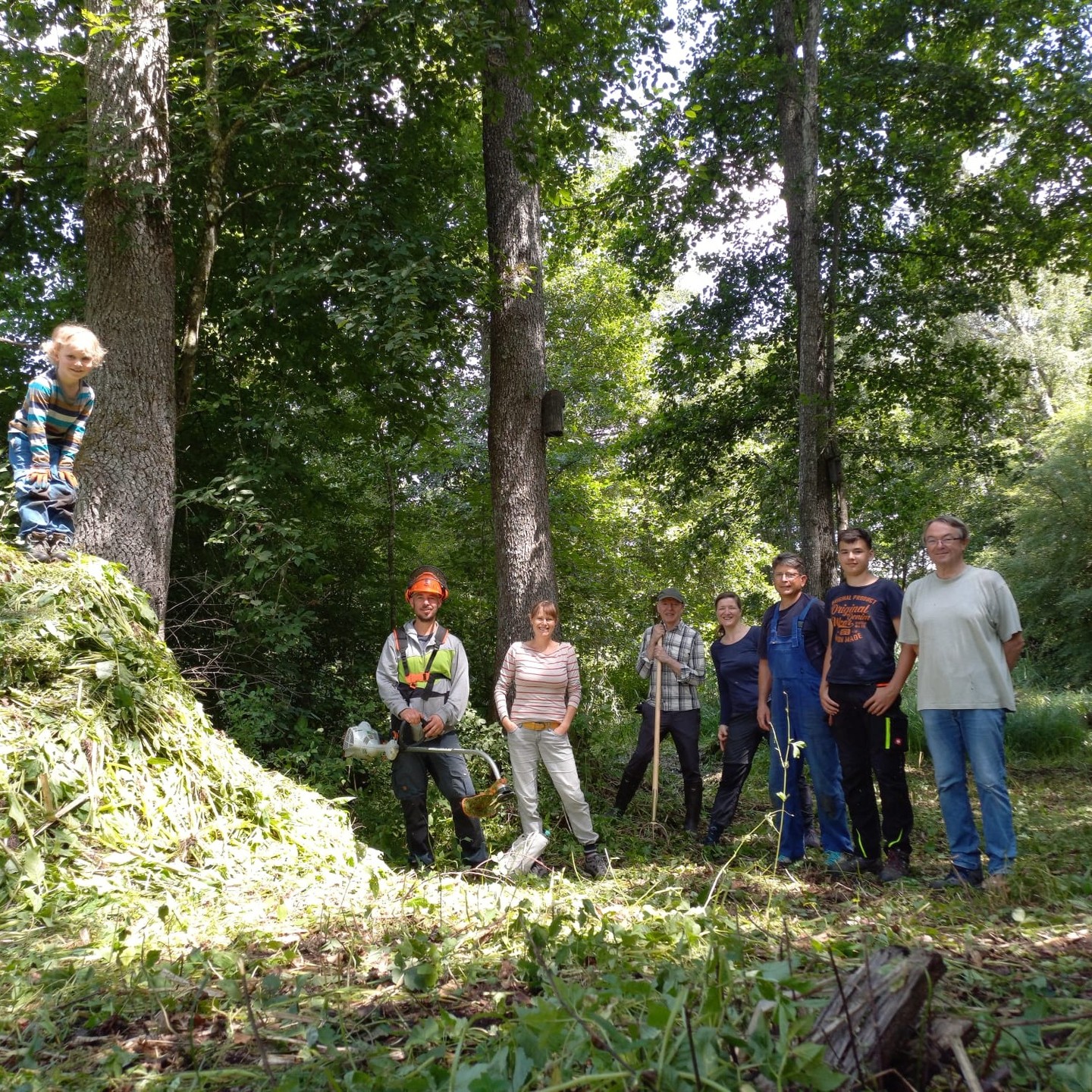🌿 Gemeinsam für den Erhalt unserer Natur! 🌱
Vor Kurzem waren wir zusammen mit der NABU-Gruppe Altshausen-Aulendorf @nabu_altshausenaulendorf und dem Deutschen Alpenverein Sektion Aulendorf @dav_sektion_aulendorf im Laubbronner Ried im Einsatz – mit vielen engagierten Helfer*innen und voller Energie! 💪🌞
Unser Ziel: Invasive Neophyten wie das Drüsige Springkraut entfernen und auf ein Minimum reduzieren, bevor sie sich weiter ausbreiten. Obwohl sie auf den ersten Blick harmlos wirken, verdrängen sie heimische Pflanzenarten und bringen ganze Ökosysteme aus dem Gleichgewicht.
Um dem entgegenzuwirken, müssen die Pflanzen samt Wurzeln vor der Blüte entfernt werden – nur so lässt sich eine dauerhafte Ausbreitung verhindern.
Mit vereinten Kräften haben wir angepackt und einen wertvollen Beitrag zum Schutz dieses besonderen Lebensraums geleistet. 🌾🛠️
Ein riesiges Dankeschön an alle, die mitgemacht haben! 💚
#Naturschutz #LaubbronnerRied #Neophytenbekämpfung #Springkraut #Artenvielfalt #GemeinsamFürDieNatur #NABU #davaulendorf #Ehrenamt #Biodiversität #Altshausen #Aulendorf