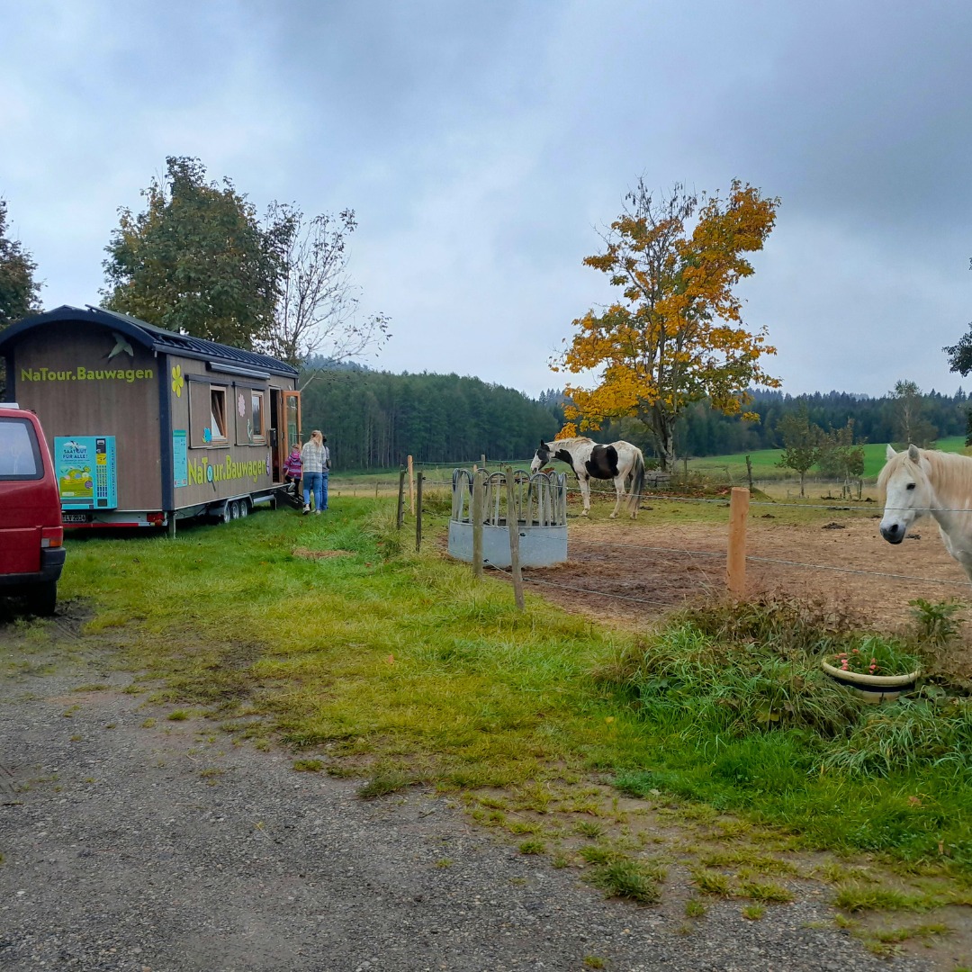 💩 Ein Elefant macht in die Stadt!
Bei strahlendem Herbstwetter lauschten am 9. Oktober viele kleine und große Zuhörer*innen am NaTour-Bauwagen in Kißlegg der Kinderbuch-Lesung „Ein Elefant macht in die Stadt“ von @elefantmachtindiestadt. 🌿
Mit viel Humor drehte sich alles um die Fragen:
💩 Was passiert eigentlich mit unseren Hinterlassenschaften?
🌱 Und welchen Nutzen können sie für die Natur haben?
Im Anschluss ging’s für die Kinder direkt ins echte Leben – auf Spurensuche rund um den angrenzenden Pferde-Misthaufen im Forum Sommersried. Begeistert wurde erforscht, wie viel Leben und Insektenvielfalt in Mist und Kacka tatsächlich steckt! 🐞- Zum Leidwesen des ein oder anderen Elternteiles, die das freudestrahlende nach mist - riechende Kind wieder mit nachhause nehmen musste.
#NaTourBauwagen #Kinderlesung #Kißlegg #Umweltbildung #Nachhaltigkeit #Kreislaufwirtschaft #Biodiversität #Naturentdecken #MistmachtLeben #NaturvielfaltRV #LernenmitSpaß