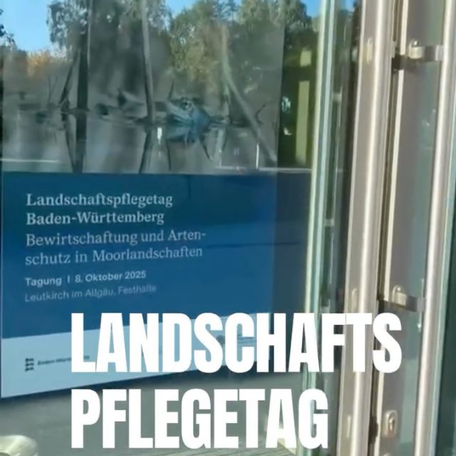 Rückblick: Landschaftspflegetag Baden-Württemberg 2025
📍Leutkirch im Allgäu
Wie gelingt Artenschutz in unseren Moorlandschaften? 
-> darum ging’s beim diesjährigen Landschaftspflegetag.
Mit inspirierenden Vorträgen, spannenden Diskussionen und eindrucksvollen Exkursionen.
Am Nachmittag hieß es: Gummistiefel an und raus ins Moor – zu Wasserbüffeln, blühenden Pfeifengraswiesen und dem Lebensraum des Moorfroschs im Taufach-Fetzachmoos. 🐸🌾
Ein Tag voller Engagement, Austausch und Ideen für die Zukunft unserer Moorlandschaften! 💚
@stadt.leutkirch 
@landkreis.ravensburg 
@baden.wuerttemberg 
@umweltministerium_bw 
@wielazhofer_wasserbueffel 
#Landschaftspflegetag #Moorschutz #Biodiversität #Ravensburg #LEV #Naturschutz #Klimaschutz #Landschaftspflege #BadenWürttemberg #TaufachFetzachmoos