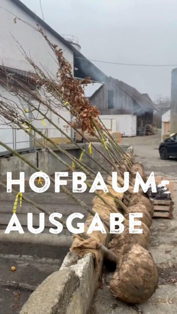 "Heimatwurzeln- wir pflanzen Zukunft"!🌳
Gemeinsam mit dem Bauernverband
@oberschwabensbauern konnten wir nun zum dritten Mal über 50 junge Bäume an Landwirte aus der Region verteilen- und das Dank der @kreissparkasseravensburg kostenlos. Das Ausgeben und Pflanzen der Hofbäume macht viel Freude. Jeder Baum ist ein kleiner Beitrag für die Naturvielfalt. Gemeinsam können wir unsere Heimat grüner machen.