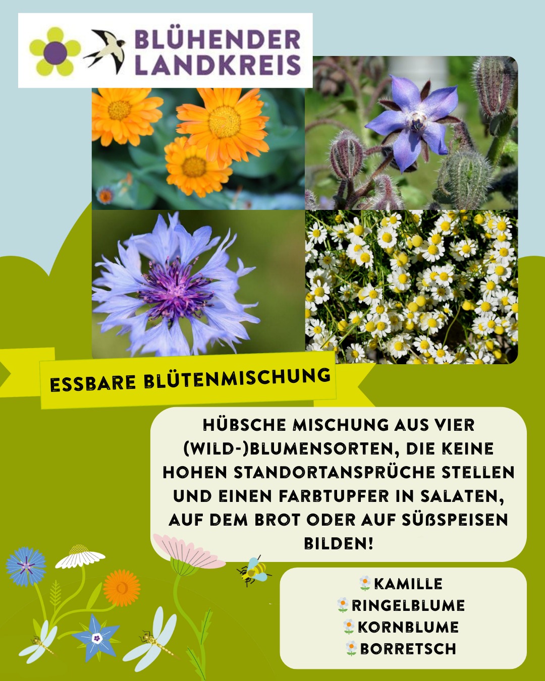 Essbare Blütenmischung: Kamille, Ringelblume, Kornblume und Borretsch- jetzt enthalten in unserer neuen Gemüsemischung der Aktion Blühender Landkreis Ravensburg!
Lust auf kostenloses Saatgut?
Dieses Jahr gibt es eine Neuerung: Unsere Saatgutmischungen werden nicht mehr verschickt, stattdessen erhaltet ihr sie bei spannenden Vorträgen im März und April. Standorte, Anmeldung und Informationen unter www.bluehender-landkreis.org/veranstaltungen

großzügiger Unterstützer der Blühkampagne @kreissparkasseravensburg
Kooperationspartner @elobau_stiftung
Saatguthersteller @tatgut.de

#saatgut #biodiversity #pflanzen #ringelblume #kornblume #borretsch #kamille #bluehenderlandkreis #biodiversitätsstrategie #allgaeu #oberschwaben #landschaftserhaltungsverband #elobaustiftung