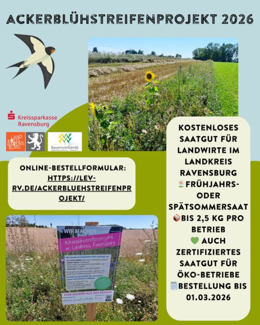 Auch dieses Jahr können Landwirtinnen und Landwirte aus dem Landkreis Ravensburg wieder Saatgut zur Anlage von Ackerblühstreifen beim Landschaftserhaltungsverband (LEV) Ravensburg bestellen. Es gibt die Wahl zwischen einer Frühjahrs- und Spätsommeransaat. Öko-Betriebe haben wieder die Möglichkeit ein zertifiziertes Saatgut zu bestellen. Insgesamt können pro Betrieb 2,5 kg Saatgut gefördert werden, dies entspricht in etwa einer Fläche von 2500m². 
Dank der Spende der Heimatstiftung der @kreissparkasseravensburg ist es auch dieses Jahr wieder möglich, dass das Saatgut von Landwirtinnen und Landwirte im Landkreis Ravensburg kostenlos über den LEV bezogen werden kann.
Die Feldschilder werden in Kooperation mit dem @oberschwabensbauern ebenfalls wieder kostenlos zur Verfügung gestellt.
Das Online-Bestellformular finden Sie auf der Homepage des LEV Ravensburgs. Das Saatgut kann jedoch auch schon früher vergriffen sein. 

#saatgut #landwirtschaft #biodiversity #naturvielfalt #allgaeu #oberschwaben