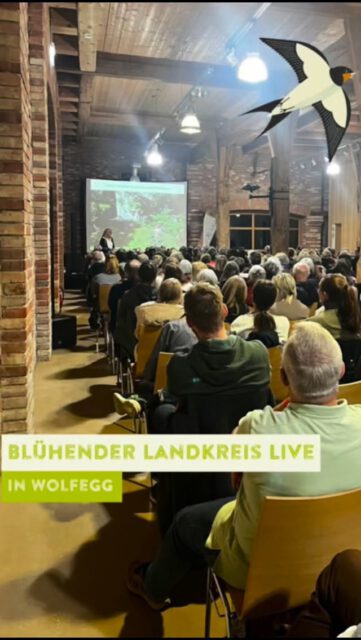 Gestern Abend ist unsere Veranstaltungsreihe „Blühender Landkreis live“ in der Zehntscheuer in Wolfegg gestartet. 🌱
Landschaftsarchitektin und Autorin Simone Kern zeigte in einem inspirierenden Vortrag, wie sich ein Garten mit einfachen Mitteln in ein echtes Naturparadies verwandeln lässt.
Unterstützt wurde sie von Patrick Kaiser, der sich mit viel Engagement für die Vermehrung regionaler Saatgutsorten einsetzt und damit dem Verschwinden alter Sorten entgegenwirkt.
Im Anschluss konnten Besucherinnen und Besucher bei Patrick Kaiser und Gerd Lang regionales Saatgut erwerben.
Und zum Abschluss gab es für alle noch ein besonderes Geschenk:
Die exklusive Gemüsemischung 2026 – kostenlos zum Mitnehmen. 🌼
Ein rundum gelungener Auftakt!
Dank der großzügigen Förderung der Heimatstiftung der @kreissparkasseravensburg ist es uns möglich die Blühkampagne kostenlos anbieten zu können.
Ein Herzliches Dankeschön geht auch an unseren Kooperationspartner @elobau_stiftung und an unseren Saatguthersteller @tatgut.de