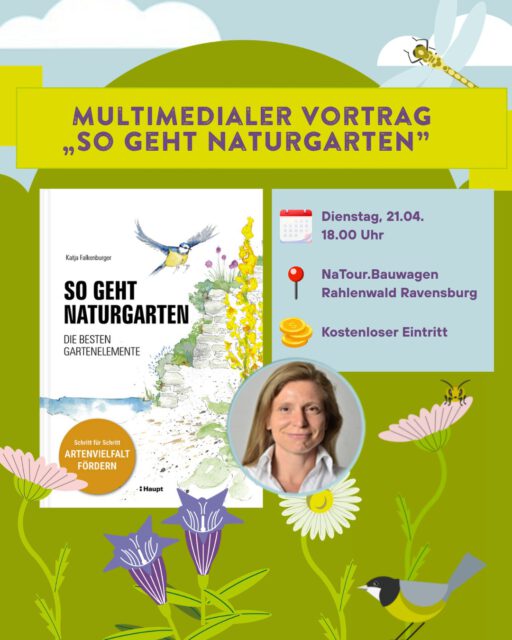 🌿 Lust auf mehr Natur im Garten?

Die Autorin @katjafalkenburger nimmt euch mit auf eine inspirierende Reise durch naturnahe Gärten. 🌱 Erfahrt, wie ökologisches Gärtnern funktioniert, warum es so wichtig ist und wie ihr selbst aktiv werden könnt.

📅 Dienstag 21.04.

📍 NaTour.Bauwagen Rahlenwald, Ravensburg

💚 Eintritt frei - wir freuen uns über Spenden für unsere Naturschutzprojekte. 

👉Jetzt anmelden: https://naturvielfalt-rv.de/veranstaltungen

#naturgarten #allgäu #oberschwaben #landschaftserhaltungsverband #natuRVielfalt #biodiversitätsstrategie #biodiversität #ravensburg