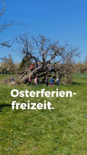Was für eine tolle Osterferienfreizeit! ✨🌿
Wir haben gemeinsam den Wald und die Wiese entdeckt, gespielt, Schätze gesucht, geforscht, gebastelt, geschnitzt – und ganz viel gelacht! 😄🌳🔍
Danke an alle kleinen Naturforscher:innen fürs Mitmachen! Und ein großes Dankeschön an die Eltern für euer Vertrauen! 💚
Für uns war es ein grandioser Start in die Saison! 🚐🌼 Wir freuen uns schon riesig auf viele weitere Abenteuer mit euch!
Du möchtest den NaTour.Bauwagen auch einmal erleben? 👉 Link zur Buchung in der Bio oder unter www.natourbauwagen.de
#ravensburg #landschaftserhaltungsverband #natourbauwagen #natuRVielfalt