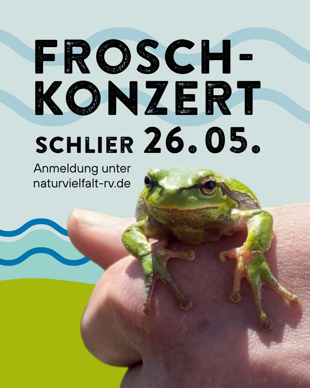 🐸✨ Die Nacht der Frösche ✨🐸
Kommt mit uns auf eine spannende Abendexkursion in Schlier und entdeckt die faszinierende Welt heimischer Amphibien. Gemeinsam mit dem @bund.ravensburg_weingarten lauschen wir dem nächtlichen Froschkonzert und erkunden ihre Lebensräume. 🌙🔦

📅 Dienstag, 26. Mai
🕕 20:30 Uhr
📍 Schlier (Treffpunkt nach Anmeldung per Mail)

👨‍👩‍👧 Familienveranstaltung – geeignet für Kinder ab 6 Jahren

💸 Kostenlos, Spenden für Naturschutzprojekte willkommen

📧 Jetzt anmelden (Link in Bio oder unter www.naturvielfalt-rv.de)

#froschkonzert #schlier #naturvielfalt #landschaftserhaltungsverband #biodiversität #ravensburg #allgäu #oberschwaben