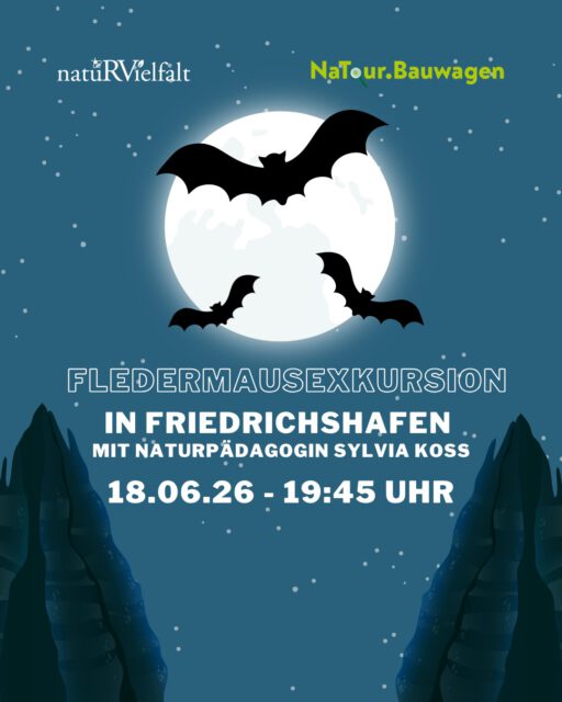 🦇✨ Fledermäuse hautnah erleben! ✨🦇

Wenn die Dämmerung einsetzt, beginnt das geheime Leben der Fledermäuse. Gemeinsam mit Naturpädagogin Sylvia Koß gehen wir auf spannende Entdeckungstour und machen die Rufe der nachtaktiven Jäger mit Bat-Detektoren hörbar. 🌙🔦

📅 Donnerstag, 18. Juni 2026
🕖 Beginn: 19:45 Uhr
⏳ Dauer: ca. 2,5–3 Stunden
📍 Treffpunkt: NaTour.Bauwagen, @bodenseeschulestmartin 

👥 Für Erwachsene und Jugendliche ab 14 Jahren

📧 Jetzt kostenlos anmelden unter naturvielfalt-rv/veranstaltungen.de

#biodiversität #landschaftserhaltungsverband #allgäu #friedrichshafen #bodenseeschulestmartin