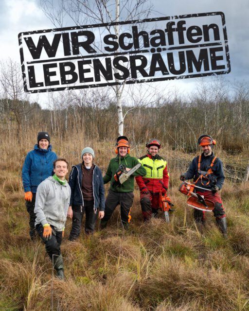 WIR schaffen LEBENSRÄUME!
Durch Vertragsnaturschutz, die Zusammenarbeit mit landwirtschaftlichen Betrieben und die Extensivierung von Flächen schaffen und erhalten die Landschaftserhaltungsverbände in BW wertvolle Lebensräume für bedrohte Arten.
Durch Pflege der Flächen werden Lebensräume geschaffen und erhalten, denn viele dieser Arten sind auf ganz bestimmte, extensiv genutzte Lebensräume angewiesen. Ohne regelmäßige Pflege würden viele Flächen verbuschen und langfristig verschwinden.
Aus diesem Grund möchten die LEV in Baden-Württemberg unter dem Claim „WIR schaffen LEBENSRÄUME“ zeigen, wie vielfältig und unterschiedlich unsere Arbeit in den einzelnen Landkreisen ist - Unter dem Claim vereinen wir unsere Arbeit und zeigen auch auf : Was wäre wenn nicht ?
Auch der LEV Ravensburg ist Teil der LEV-Familie und nimmt euch unter diesem Claim mit in unsere tägliche Arbeit. 🌿
Neben dem Vertragsnaturschutz und der Zusammenarbeit mit landwirtschaftlichen Betrieben packen wir manchmal auch selbst mit an: Mit Motorsense und Kettensäge öffnen wir verbuschte Bereiche wieder und schaffen so wertvolle Lebensräume für lichtliebende Arten - so erhalten wir beispielsweise Lebensräume für den Rundblättrigen Sonnentau oder den stark bedrohten Moorfrosch – wie bei unserem letztjährigen Pflegeeinsatz.
#WIRschaffenLebensräume #Landschaftserhaltungsverband #LEV #LEVFamilie #LEVBaWü #BadenWürttemberg #Landschaftspflege #Naturschutz #Biodiversität #Artenvielfalt #Lebensräume #Vertragsnaturschutz #Landwirtschaft #Moorfrosch #RundblättrigerSonnentau #Landschaftspflegeverbände #NaturvielfaltRavensburg