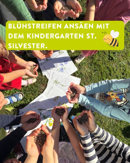 Letzten Dienstag haben wir mit dem Kindergarten St. Silvester in Tautenhofen einen Blühstreifen eingesät. Davor haben wir den Kindern erklärt welche Blumen dort nächstes Jahr vermutlich wachsen.
Wir sind schon gespannt auf nächstes Frühjahr!🌺🐝🐞

#biodiversität #biodiversity #umweltbildungfürkinder #wirschaffenlebensräume #landkreisravensburg #landschaftserhaltungsverband